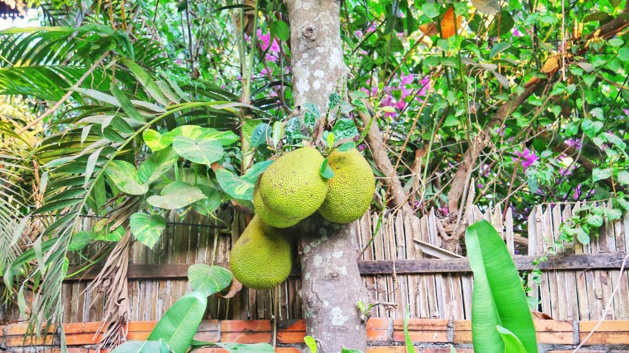 Ella'S Villa Siem Reap Esterno foto